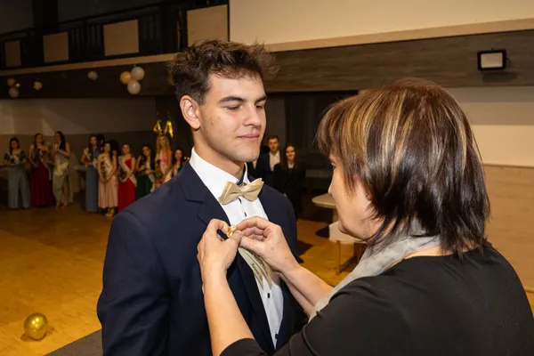 Stužkáč foto